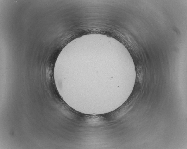 X0000115520235200912040935