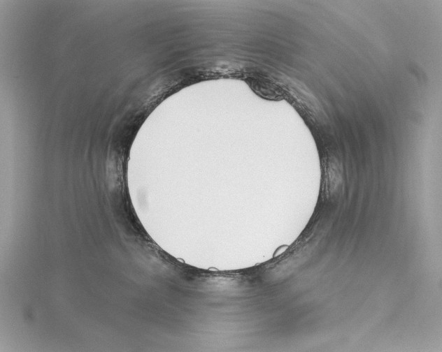 X0000115520236200912040935