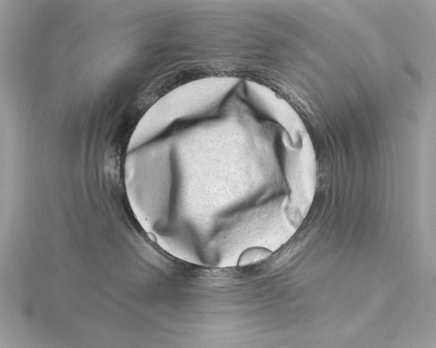 X0000115520238200912040935