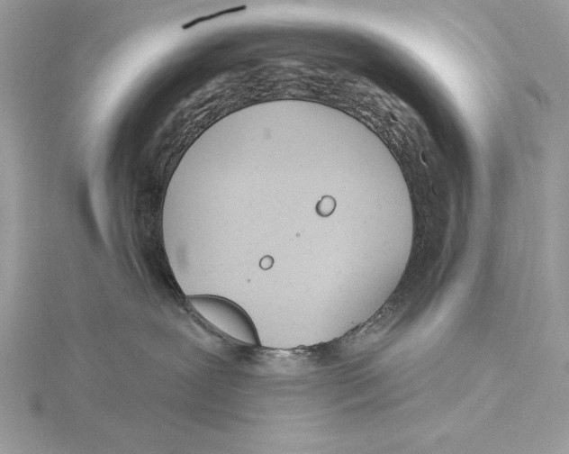 X0000115520239200912040935