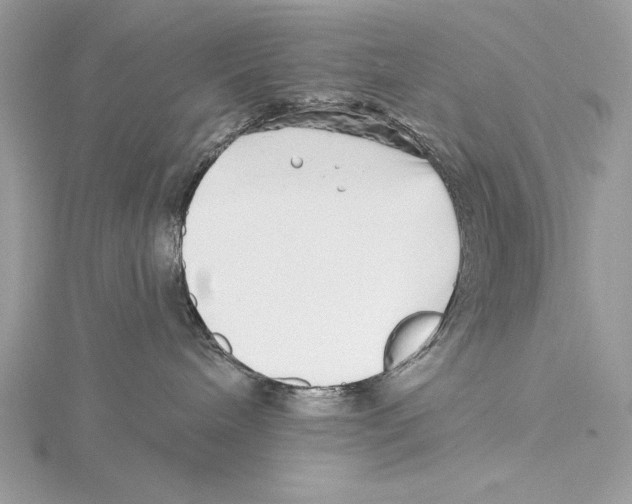 X0000115520240200912040935