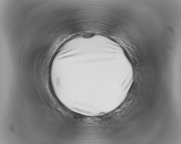 X0000115520241200912040934