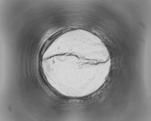 X0000115520242200912040934