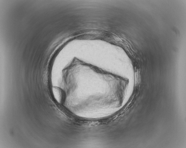 X0000115520243200912040934