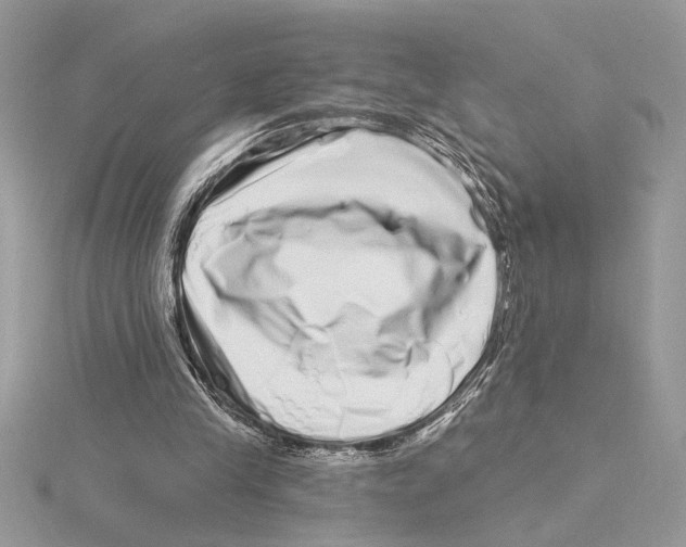 X0000115520245200912040934