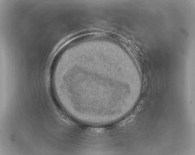 X0000115520247200912040934