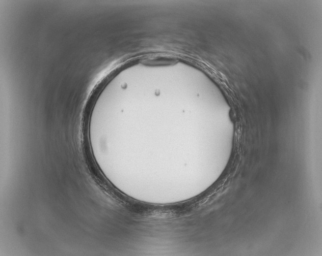 X0000115520248200912040935