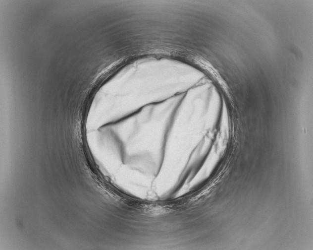 X0000115520249200912040935