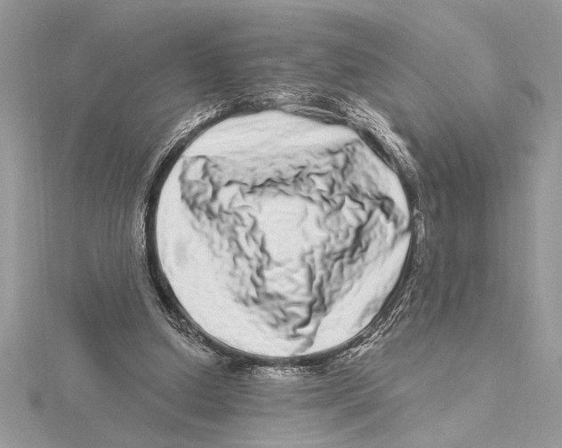 X0000115520250200912040935