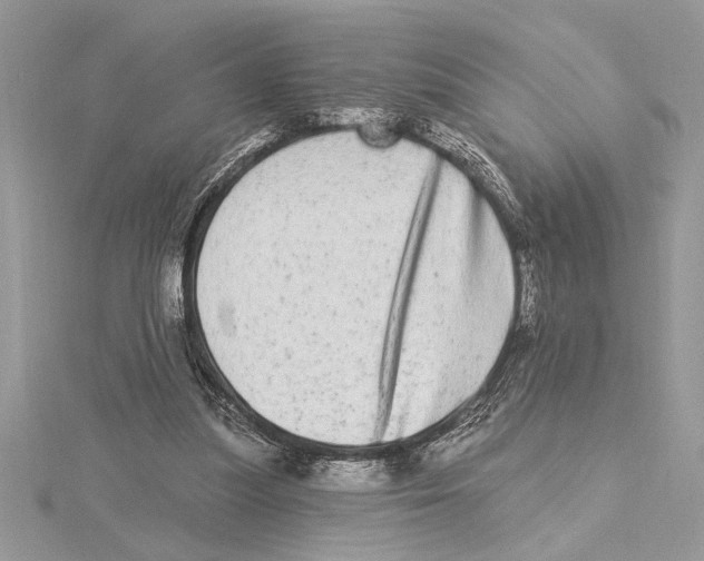 X0000115520251200912040935