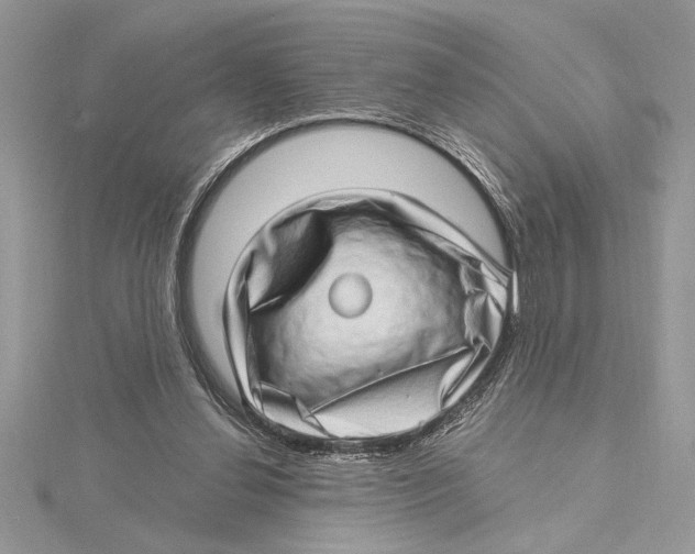 X0000115520252200912040935