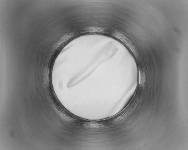 X0000115520253200912040935