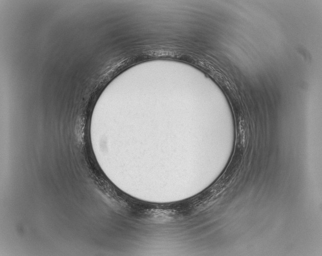 X0000115520255200912040935