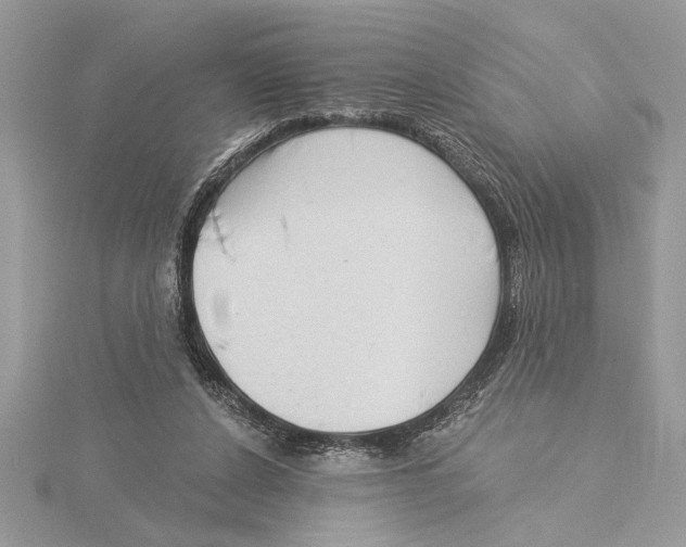 X0000115520256200912040935