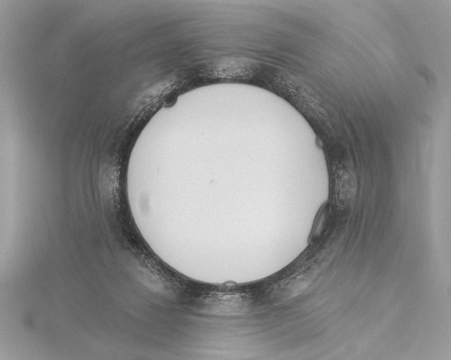 X0000115520260200912040935