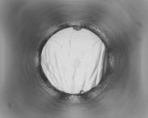 X0000115520261200912040935