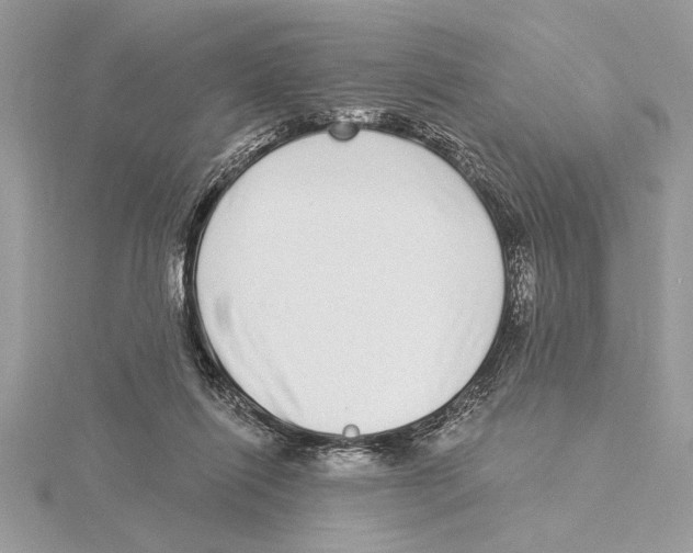 X0000115520262200912040935