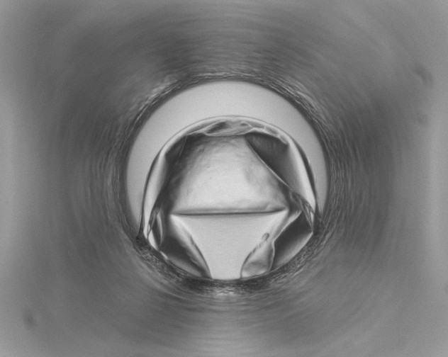 X0000115520264200912040935