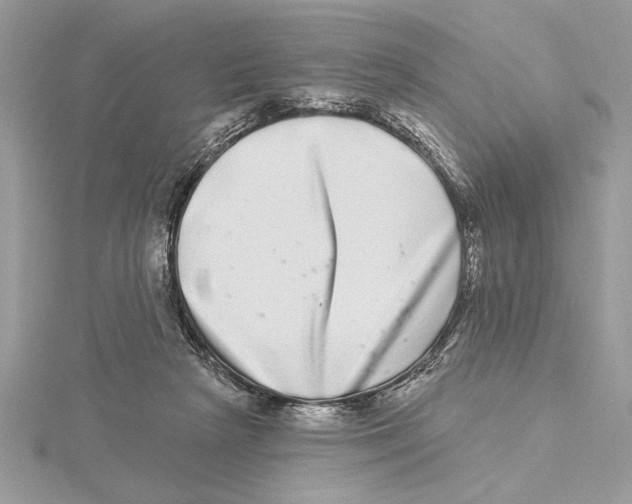 X0000115520265200912040935