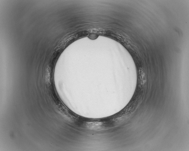 X0000115520266200912040935