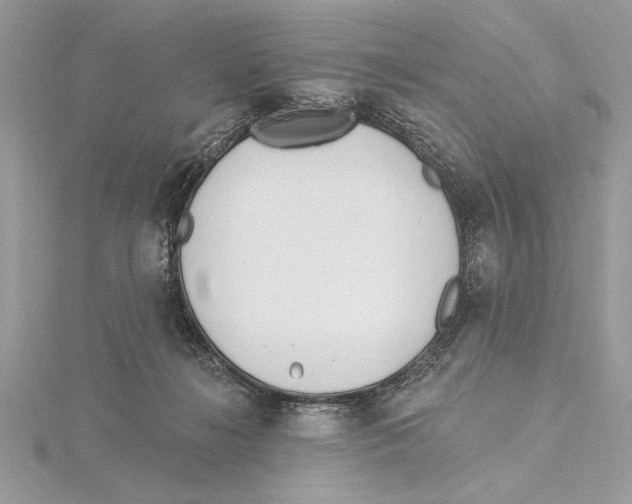 X0000115520268200912040935