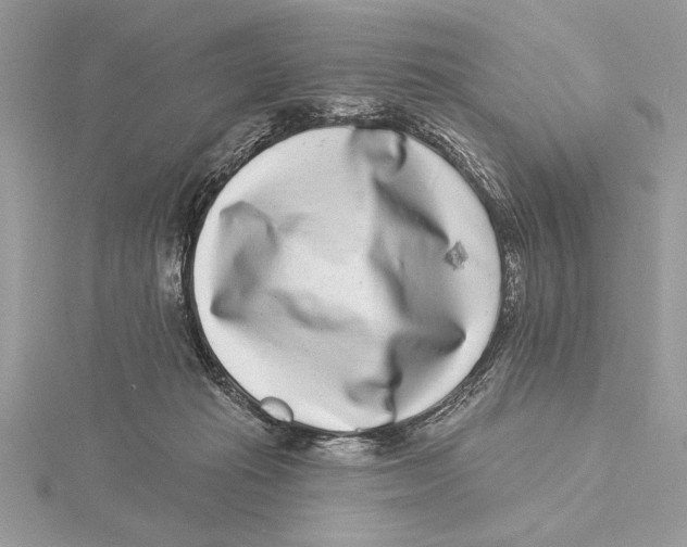 X0000115520269200912040935