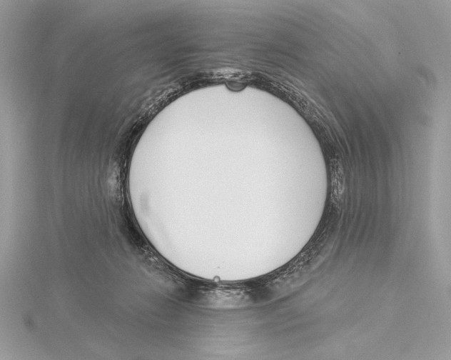 X0000115520270200912040935