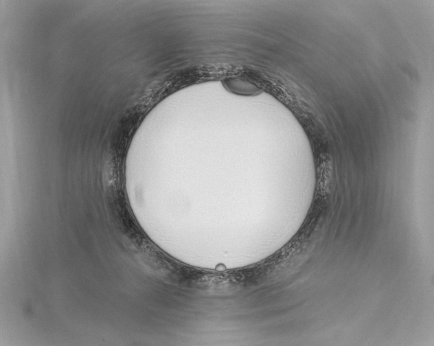 X0000115520272200912040935