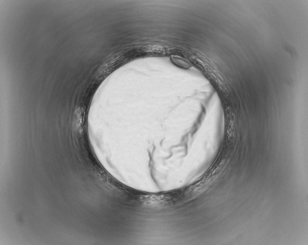 X0000115520273200912040935