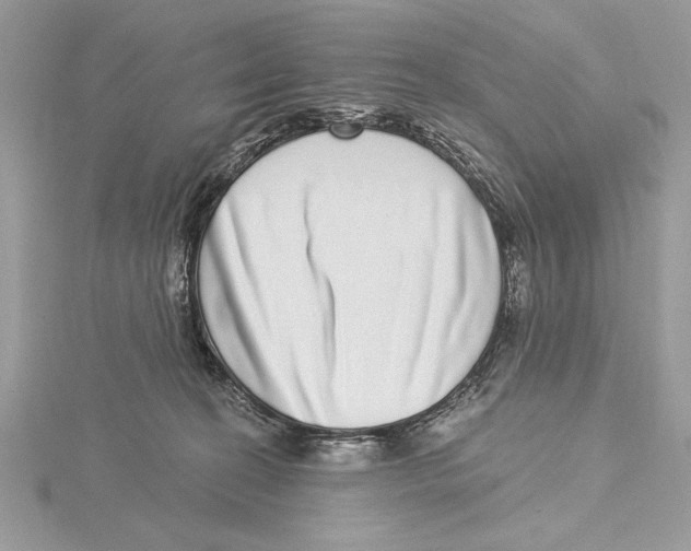 X0000115520274200912040935