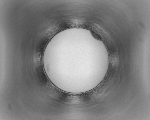 X0000115520276200912040935