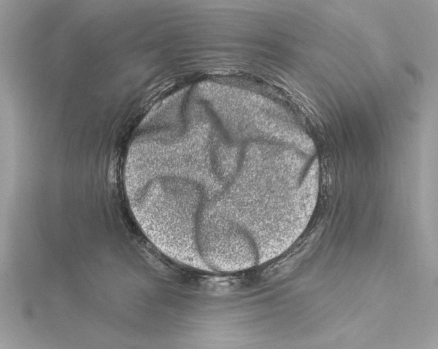 X0000115520277200912040935