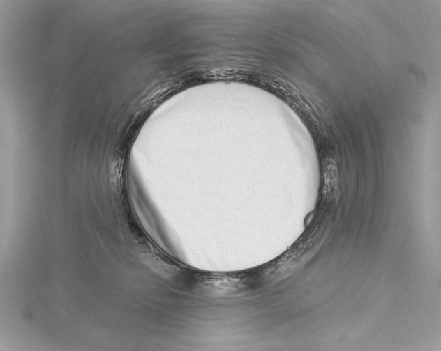 X0000115520278200912040935