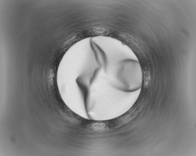 X0000115520279200912040935