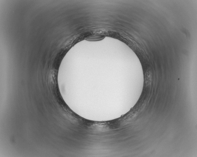 X0000115520280200912040935