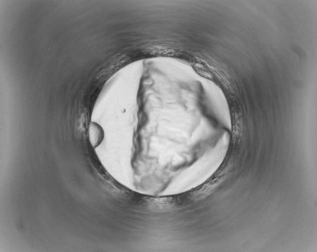 X0000115520281200912040935