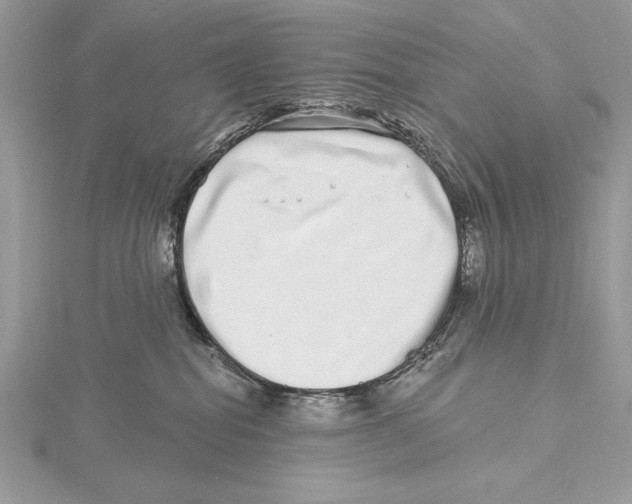 X0000115520282200912040935