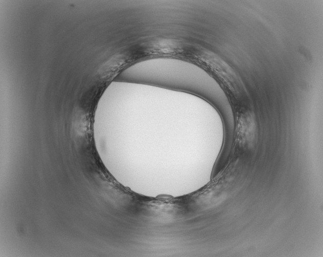 X0000115520284200912040935