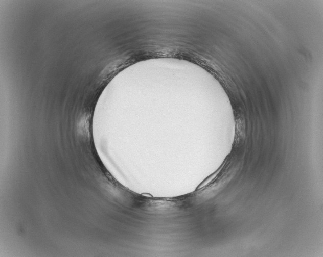 X0000115520286200912040935