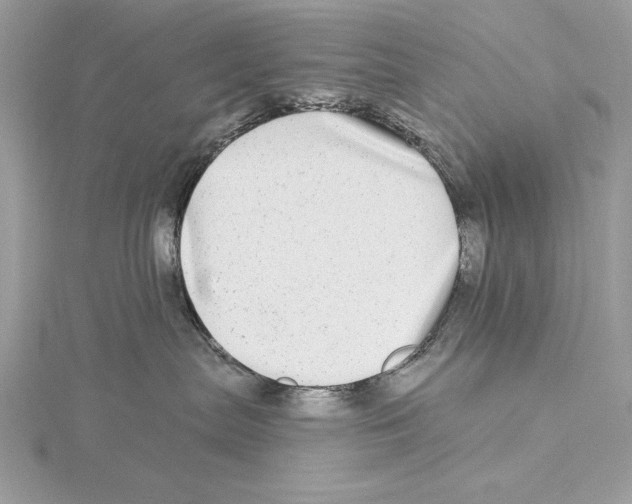 X0000115520287200912040935