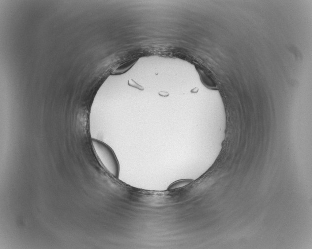 X0000115520288200912040935