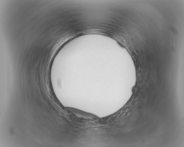 X0000115520289200912040934