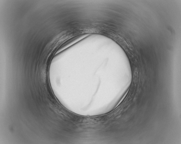 X0000115520290200912040934