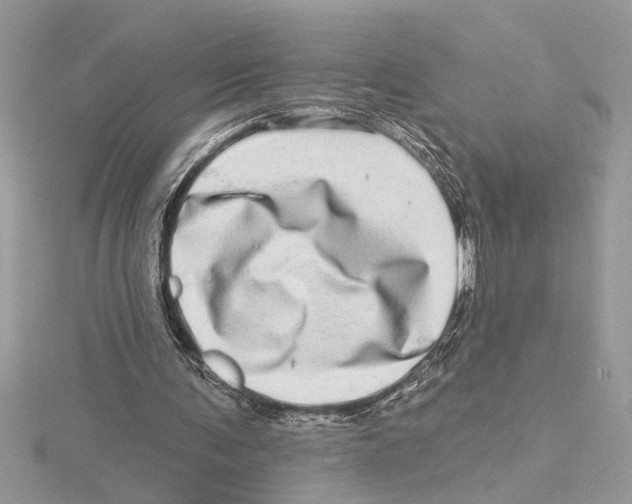 X0000115520291200912040934