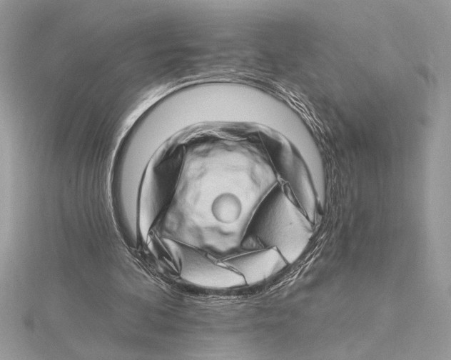 X0000115520292200912040934