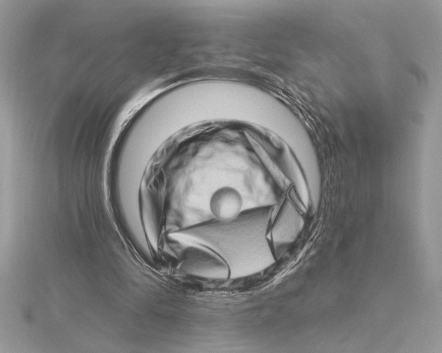 X0000115520294200912040934