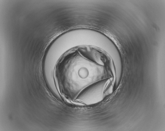 X0000115520297200912040934