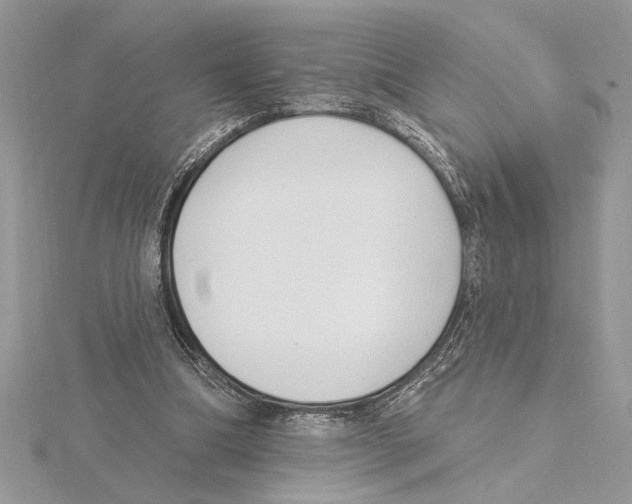 X0000115520298200912040934