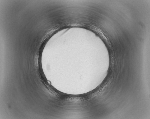 X0000115520299200912040934