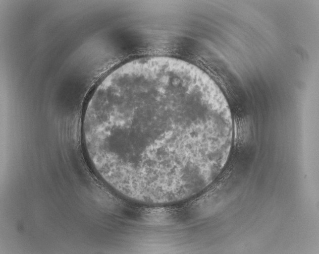 X0000115520301200912040934